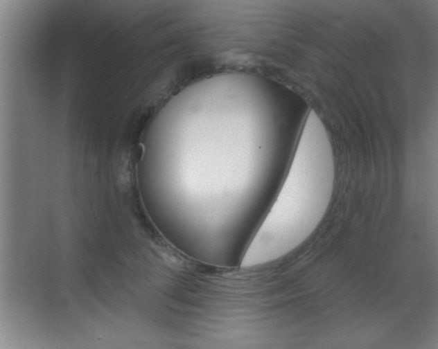 X0000069830708200605190942