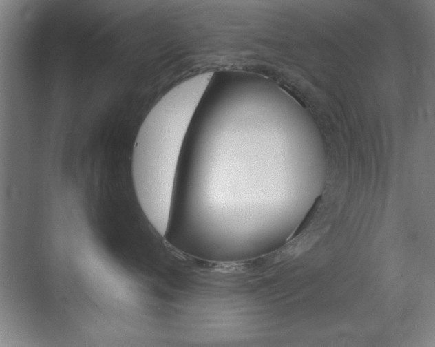 X0000069830720200605190942