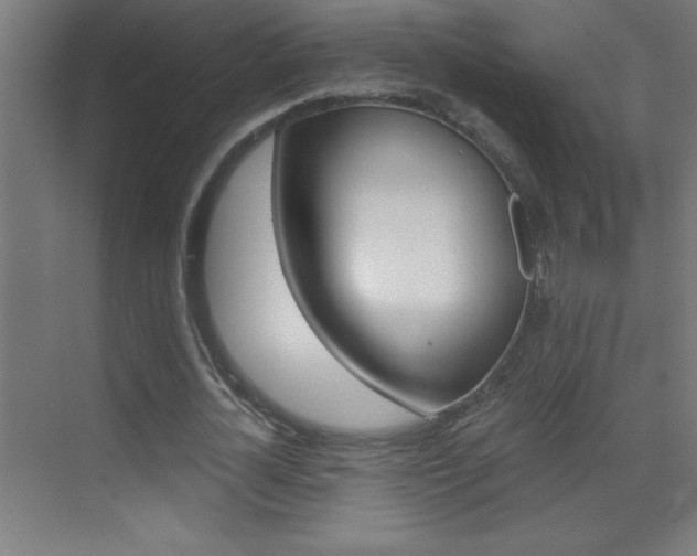 X0000069830724200605190941