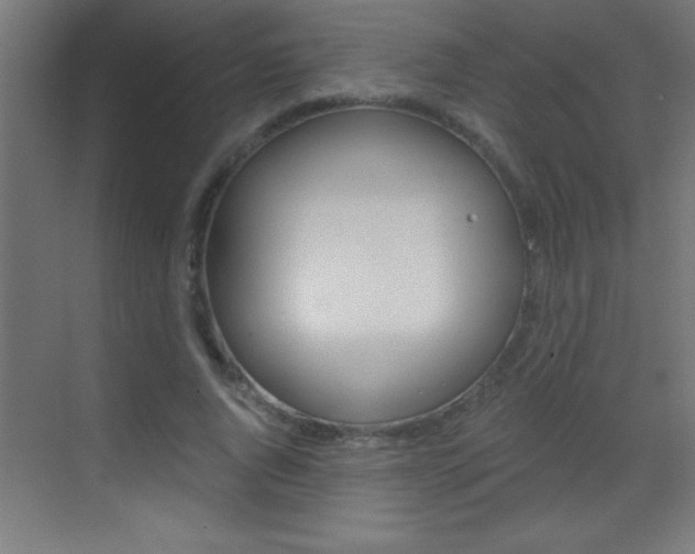 X0000069830736200605190941