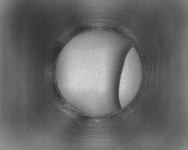X0000069830737200605190941