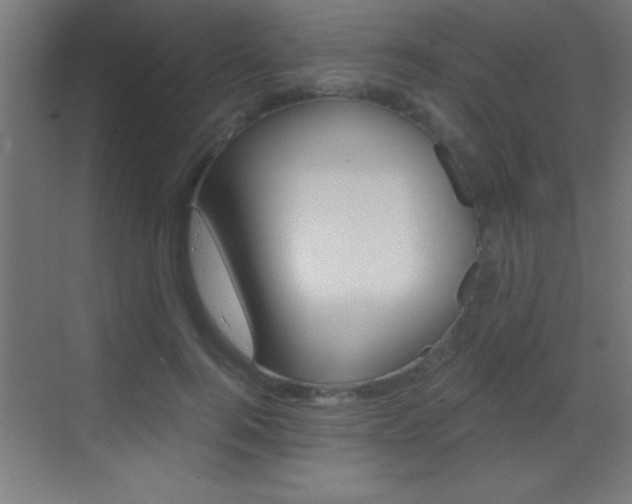 X0000069830744200605190941