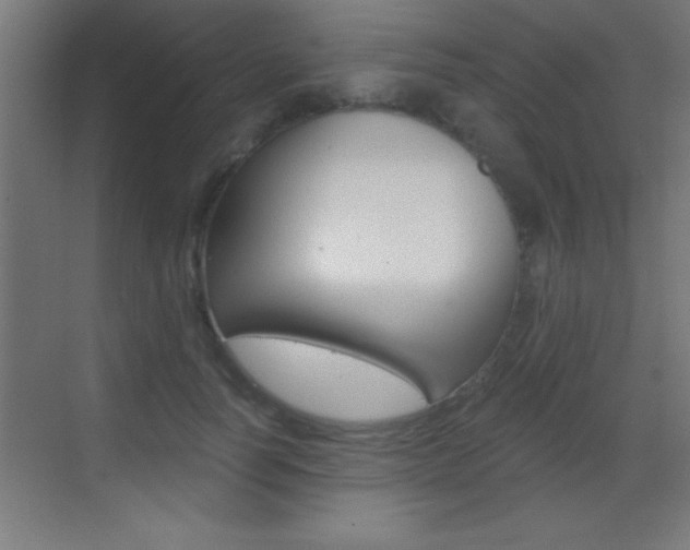X0000069830746200605190941