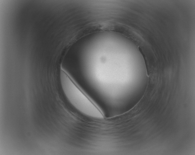X0000069830748200605190941
