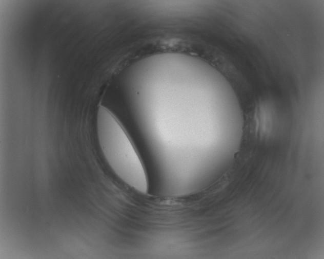 X0000069830754200605190941