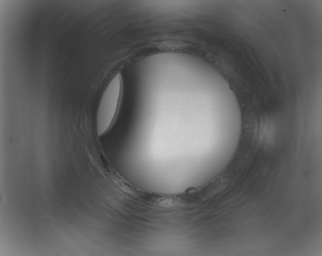 X0000069830755200605190941