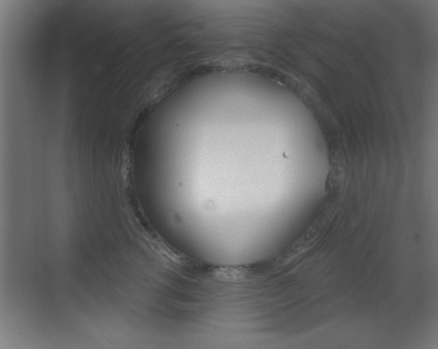 X0000069830762200605190942