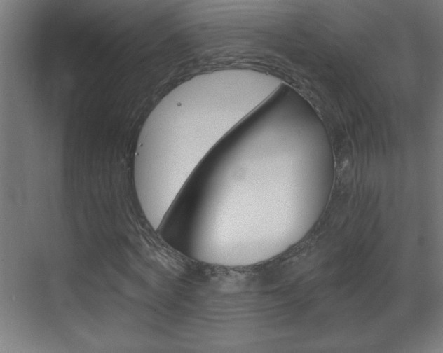 X0000069830772200605190941
