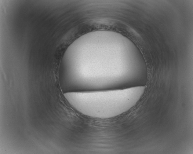 X0000069830774200605190941