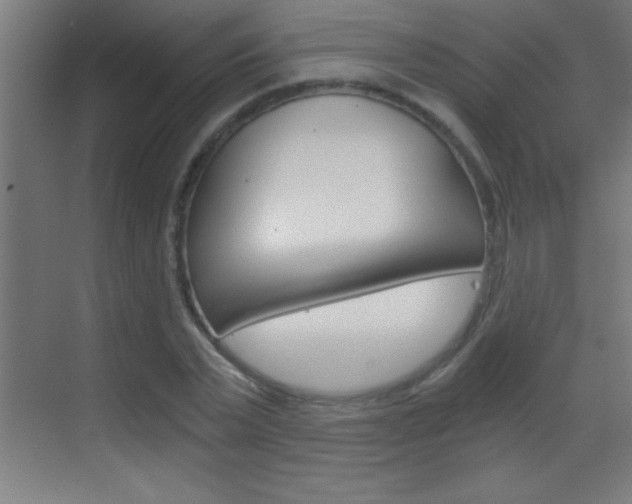 X0000069830783200605190941