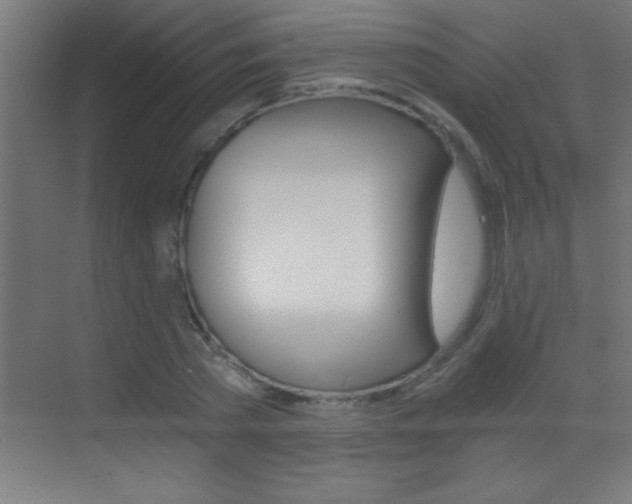 X0000069830785200605190941