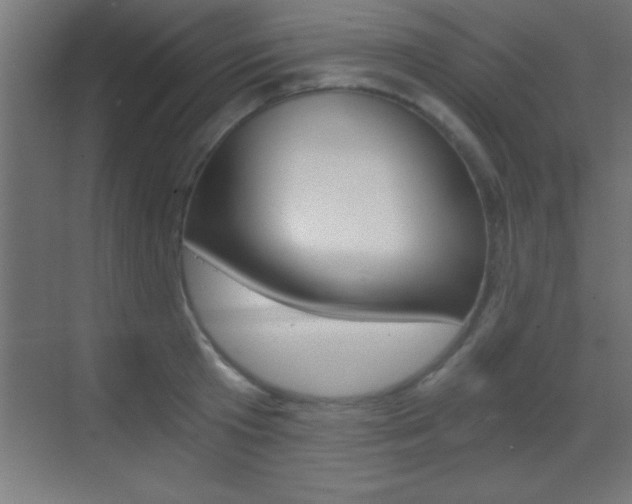 X0000069830801200605190940