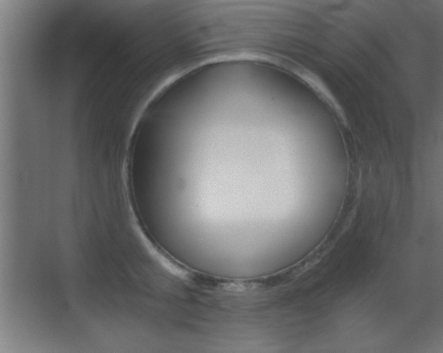 X0000069830805200605190940