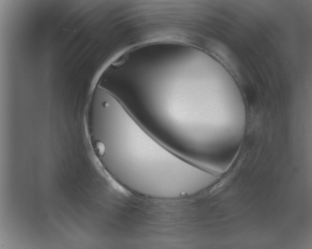 X0000069830812200605190940
