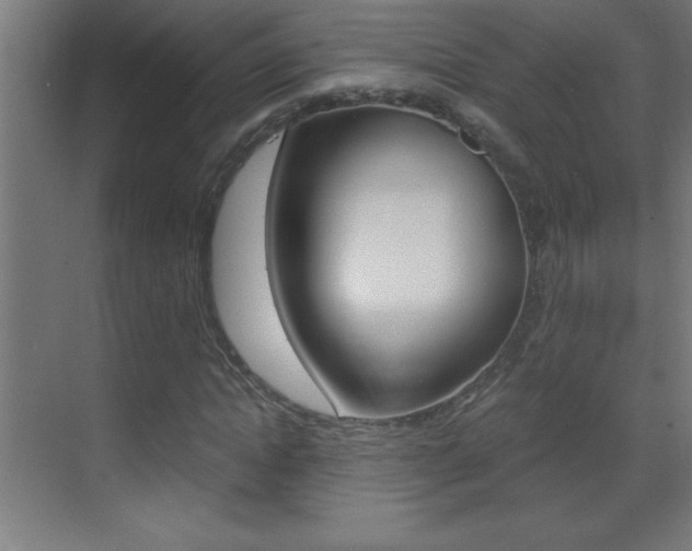 X0000069830822200605190939