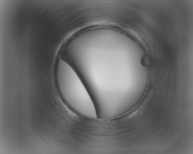 X0000069830831200605190940