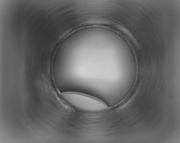 X0000069830833200605190940