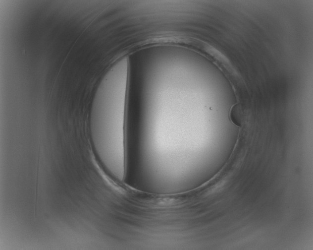 X0000069830841200605190940