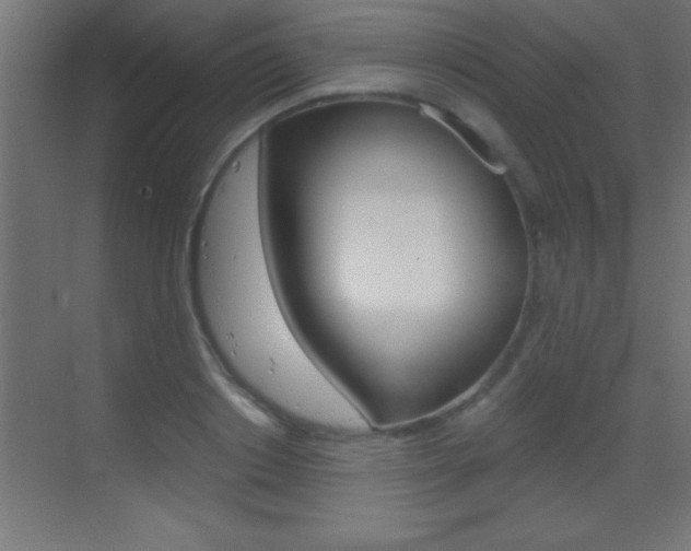 X0000069830842200605190940