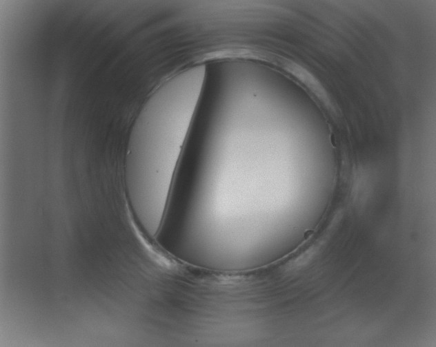 X0000069830849200605190940