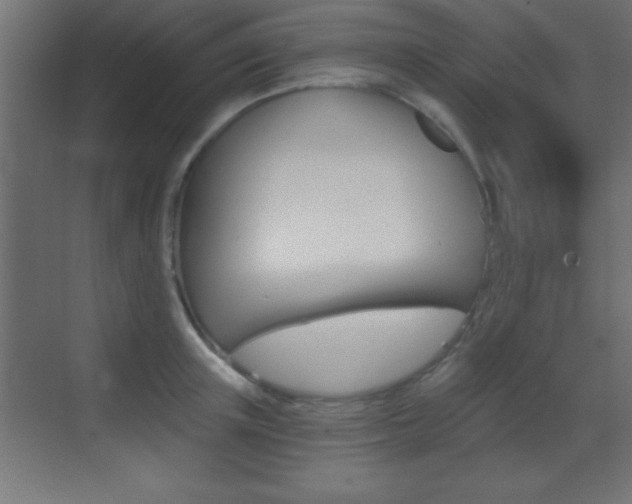 X0000069830851200605190940