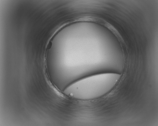 X0000069830852200605190940