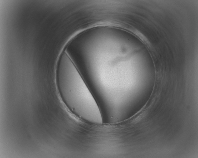 X0000069830854200605190940