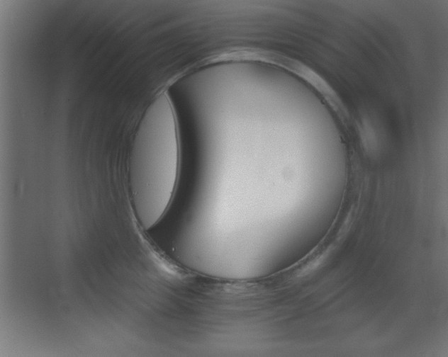 X0000069830857200605190940