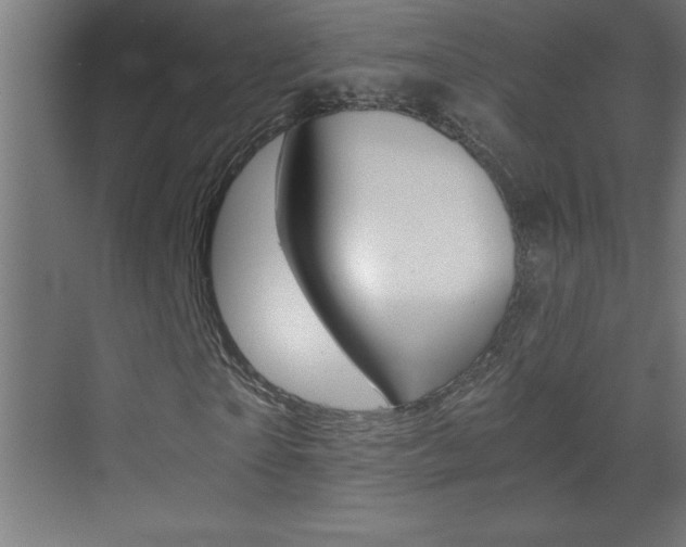X0000069830865200605190939