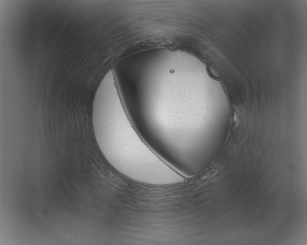 X0000069830867200605190939