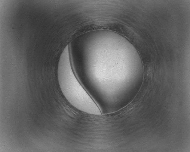 X0000069830868200605190939