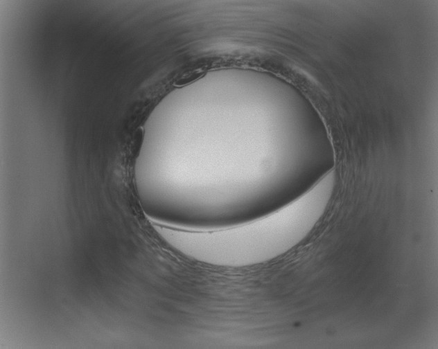 X0000069830869200605190939