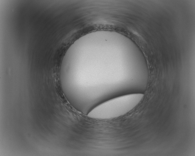 X0000069830870200605190939