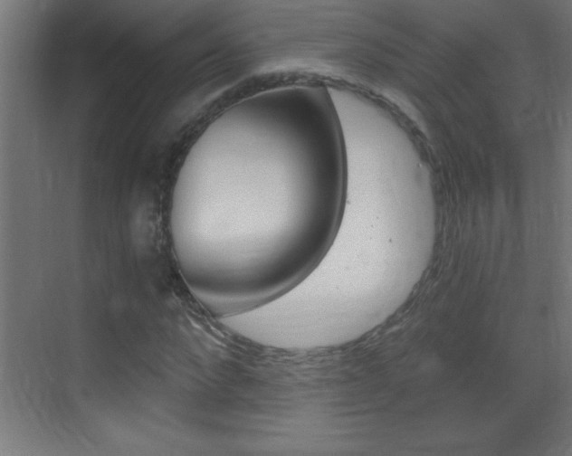 X0000069830872200605190939