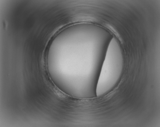 X0000069830883200605190939
