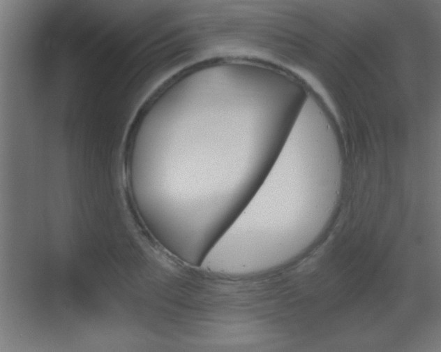 X0000069830887200605190939