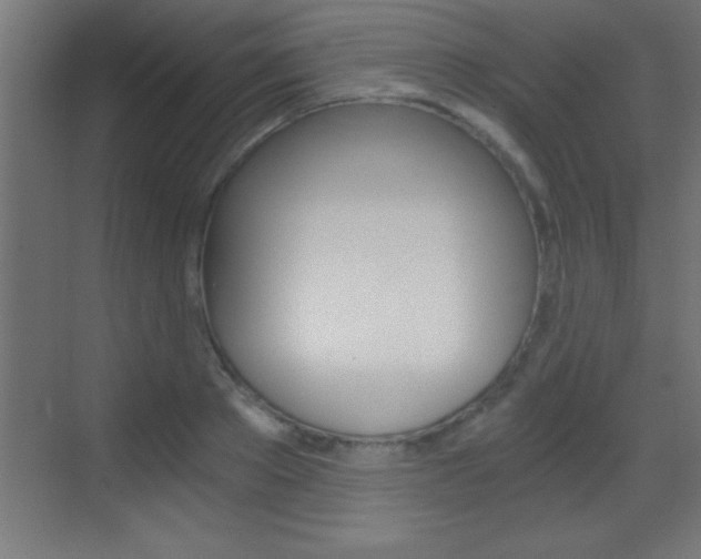X0000069830889200605190939