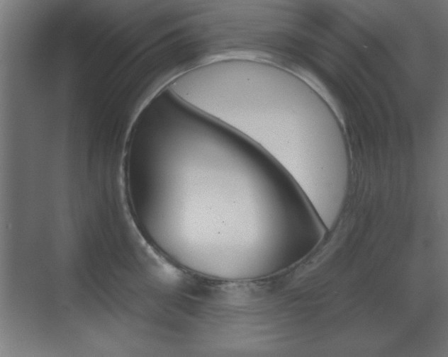 X0000069830906200605190939
