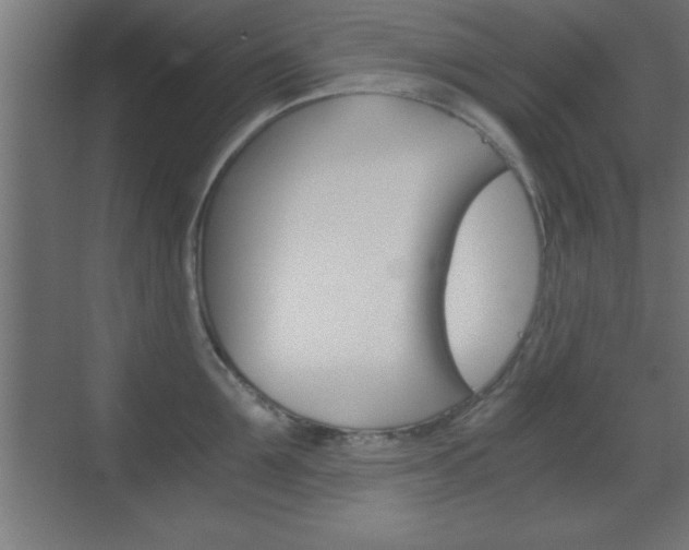 X0000069830907200605190939