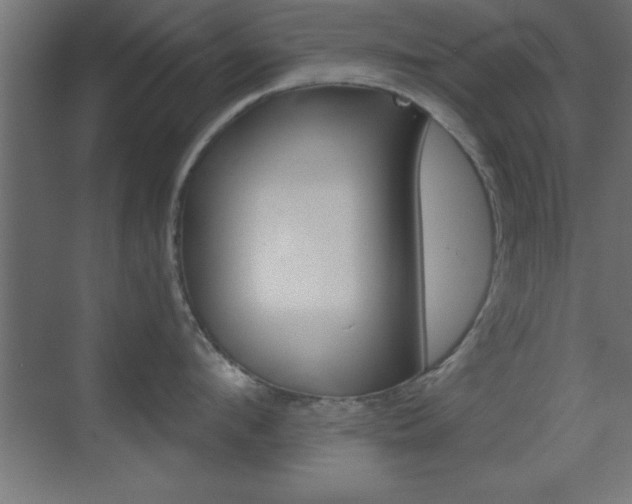 X0000069830912200605190938