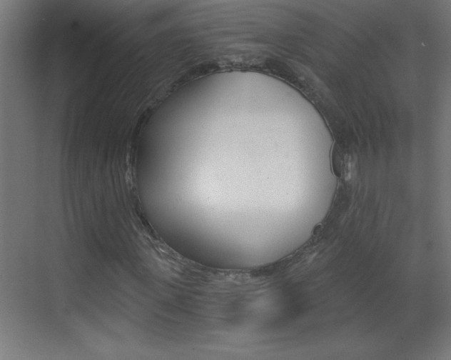 X0000069830915200605190938