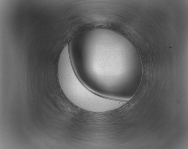 X0000069830916200605190938