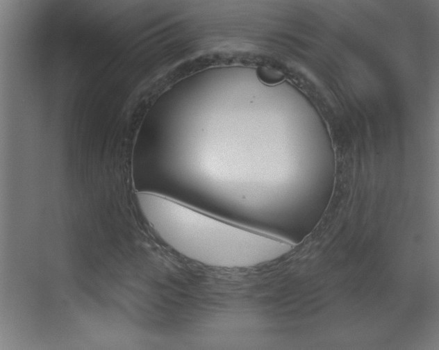 X0000069830919200605190938