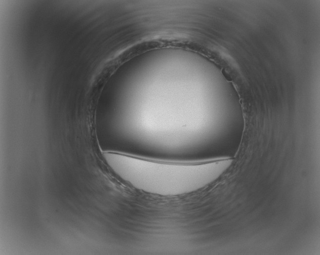 X0000069830920200605190938