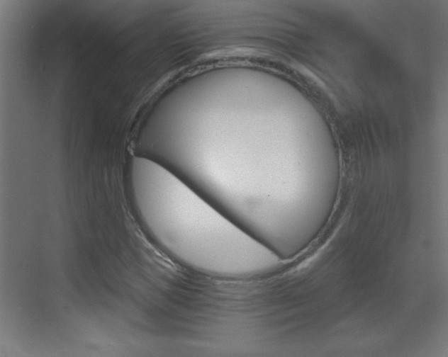 X0000069830921200605190938