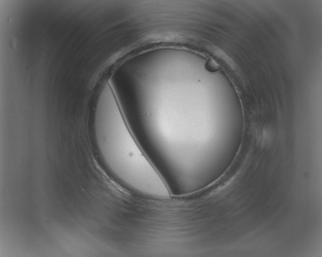 X0000069830922200605190938