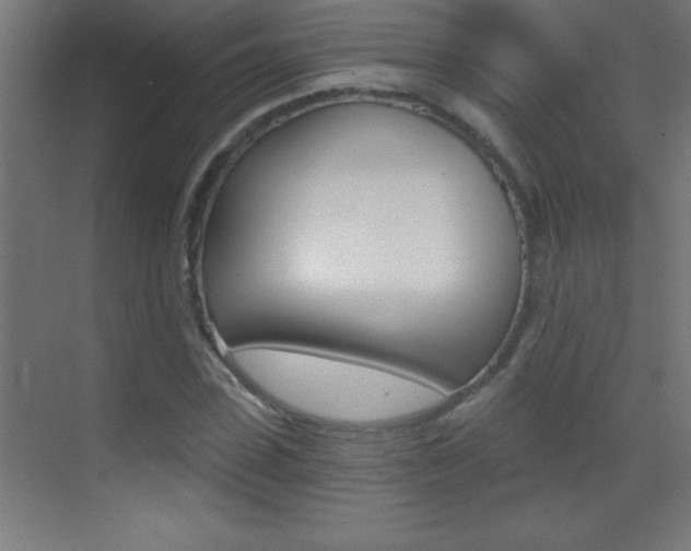 X0000069830923200605190938