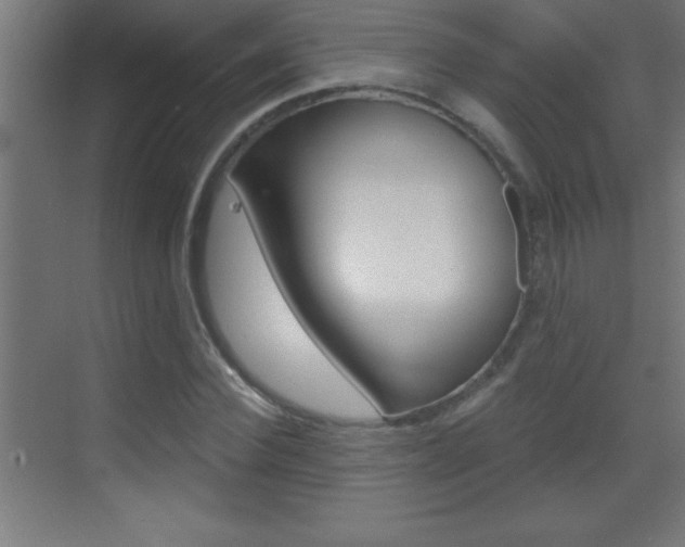 X0000069830924200605190938