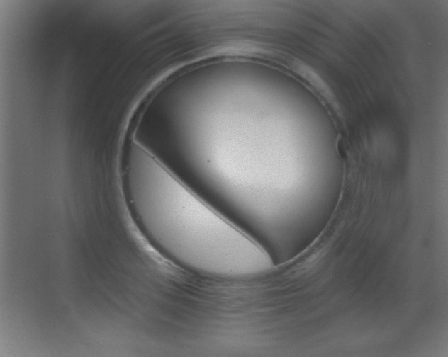 X0000069830939200605190938