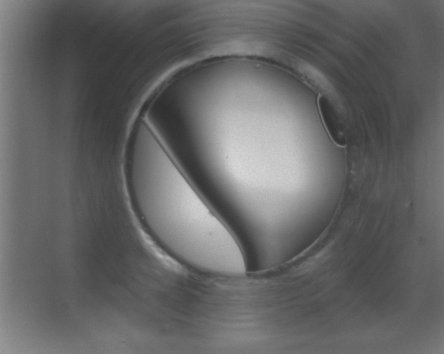 X0000069830942200605190938